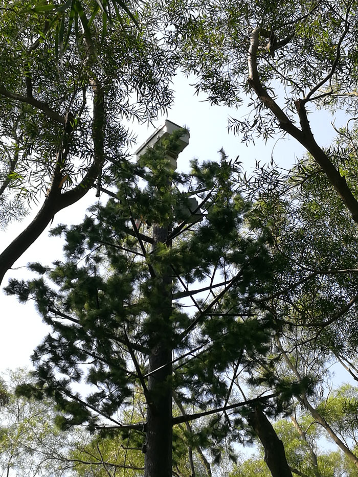 ?森林火災(zāi)風險普查工作任重而道遠，華瑞通發(fā)揮行業(yè)優(yōu)勢